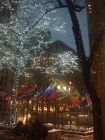 /album/fotogalerie/foto-4-jpg/